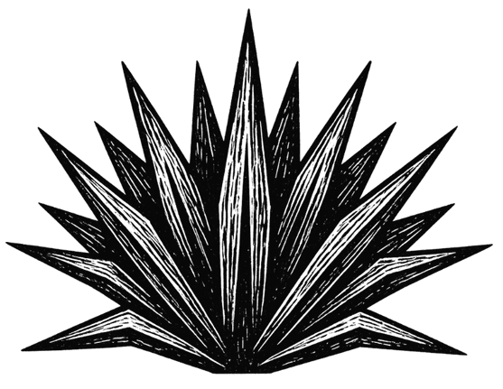 Palma Blanca Agave Icon